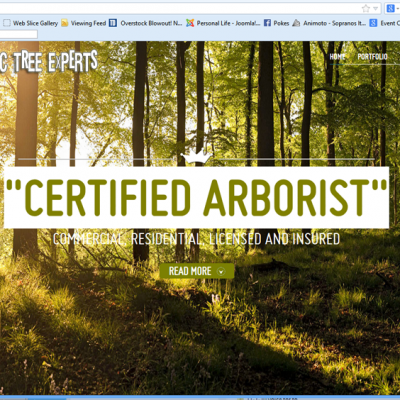 Scenic Tree Experts2013